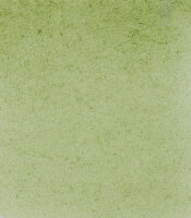 HORADAM Aquarell Grüne Erde 15ml